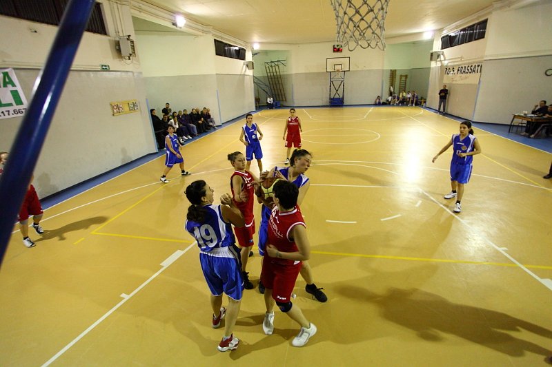 Basket 443087